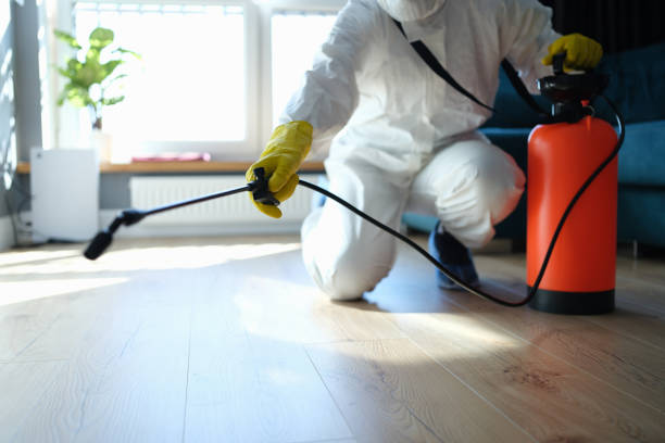 Reliable Unattended Death Cleanup contractor in Aguanga, CA by Crime Scene Cleaner Online